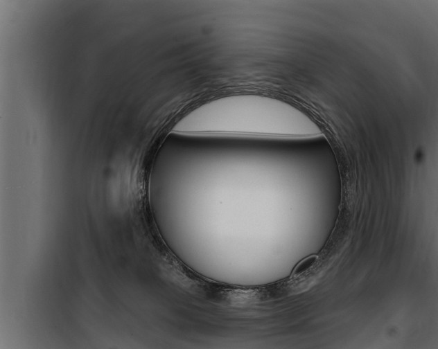 X0000100780085200806191027