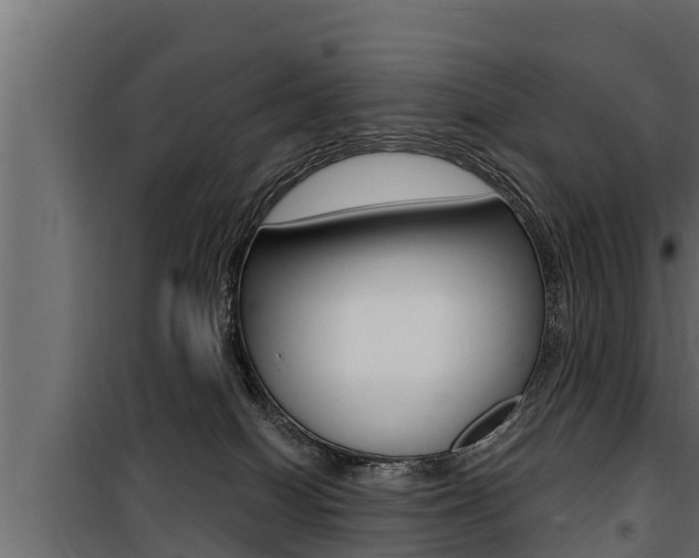 X0000100780086200806191027