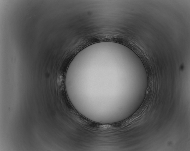 X0000100780087200806191027