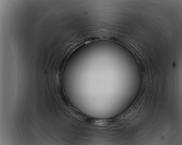 X0000100780088200806191027