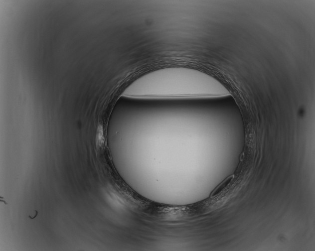 X0000100780089200806191027