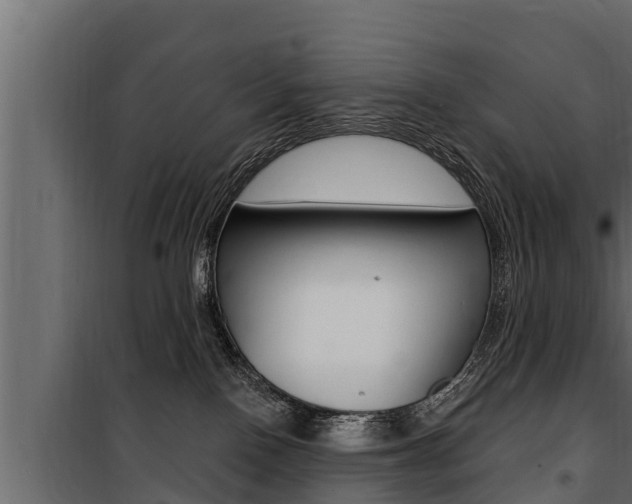 X0000100780090200806191027