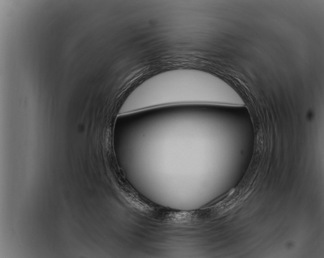 X0000100780092200806191027