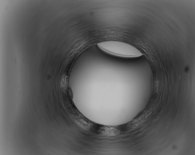 X0000100780093200806191027