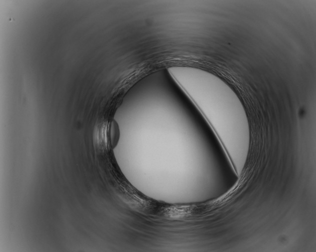 X0000100780094200806191027