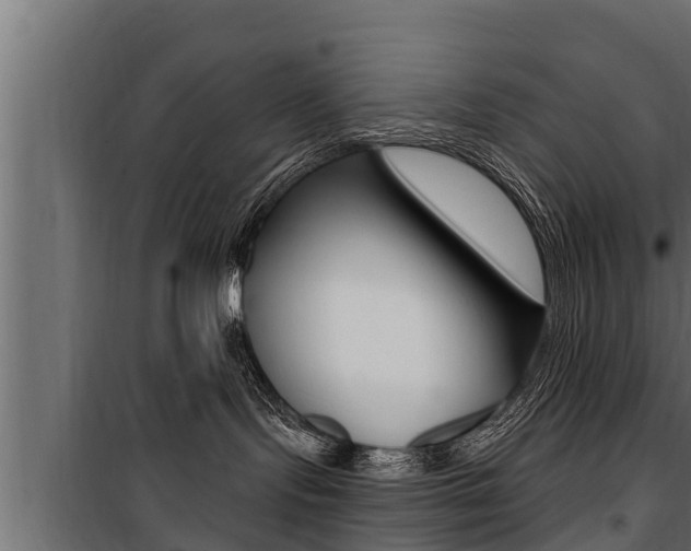 X0000100780095200806191027