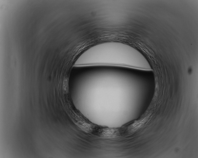 X0000100780096200806191027