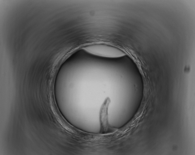 X0000100780097200806191026