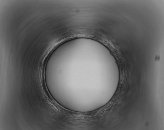 X0000100780098200806191026