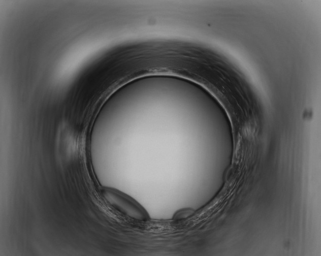 X0000100780099200806191026