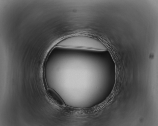 X0000100780100200806191026