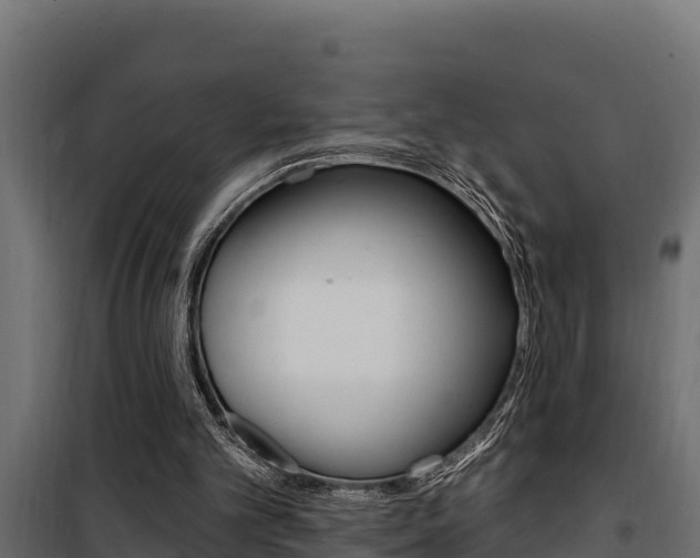 X0000100780101200806191026