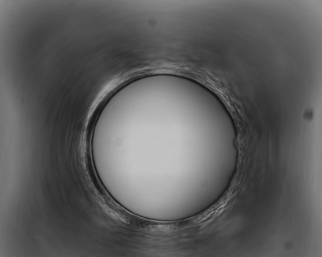 X0000100780102200806191026