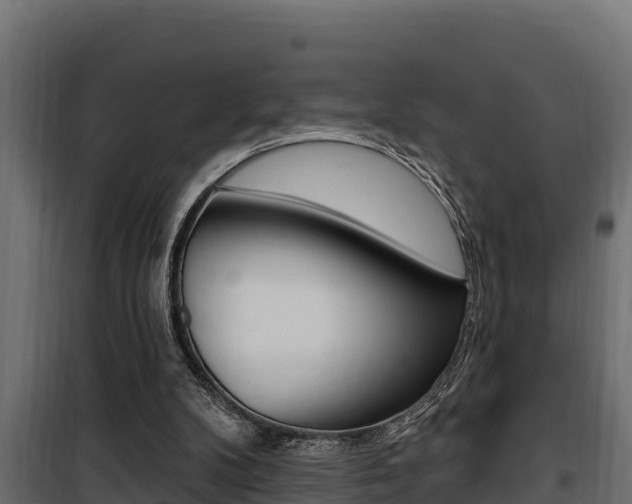 X0000100780104200806191026