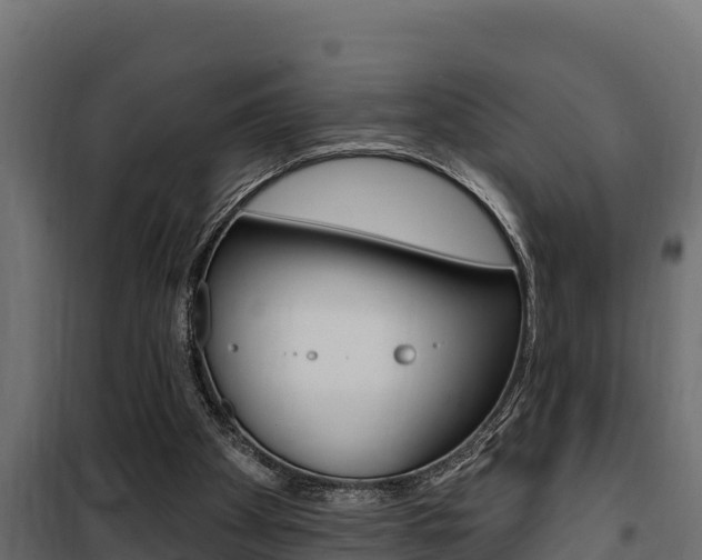 X0000100780105200806191026