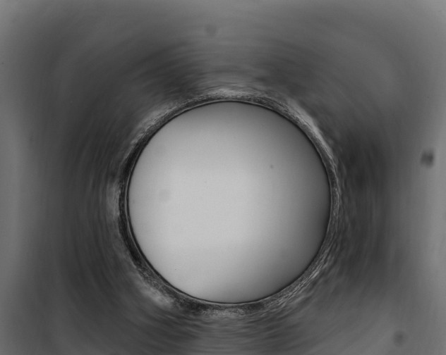 X0000100780106200806191026