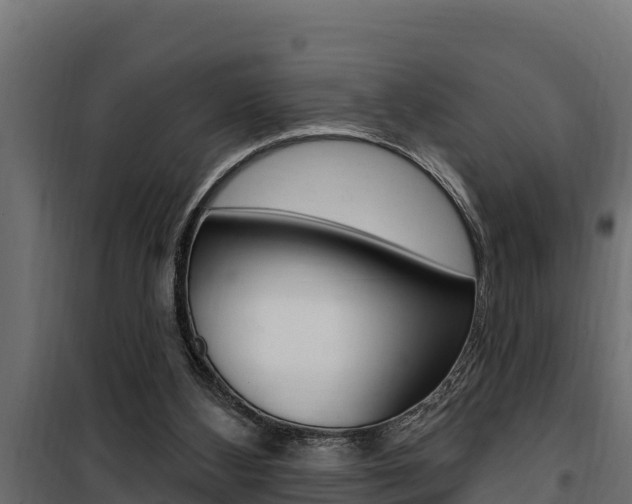 X0000100780108200806191026