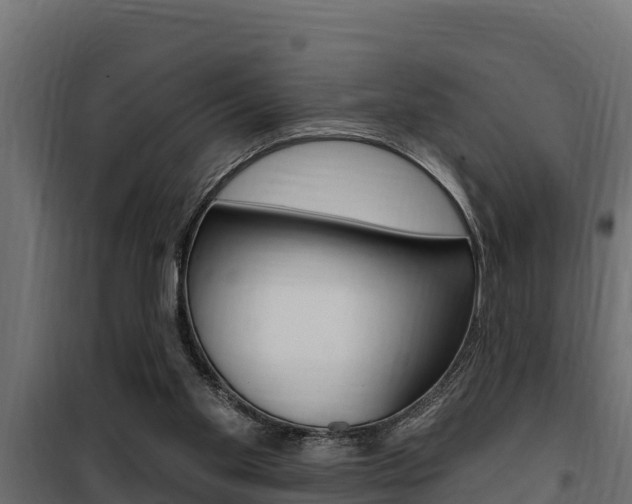 X0000100780109200806191026