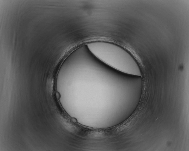 X0000100780110200806191026