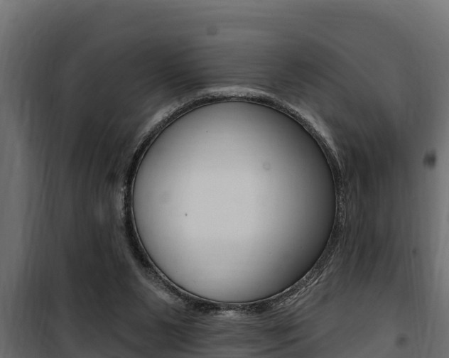 X0000100780111200806191026