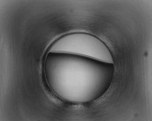 X0000100780112200806191026