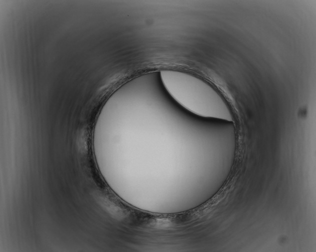 X0000100780114200806191026