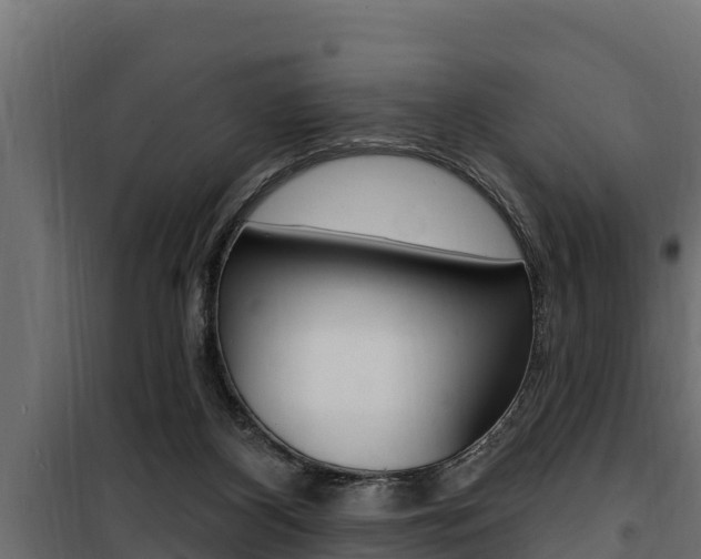 X0000100780116200806191026