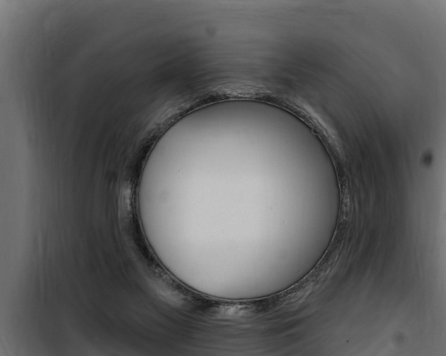 X0000100780117200806191026