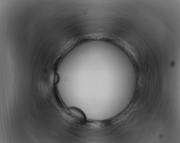 X0000100780118200806191026