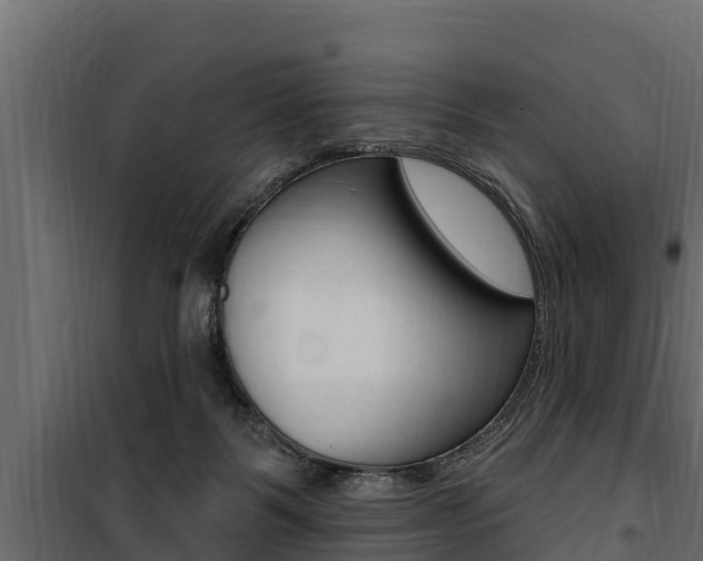 X0000100780123200806191026