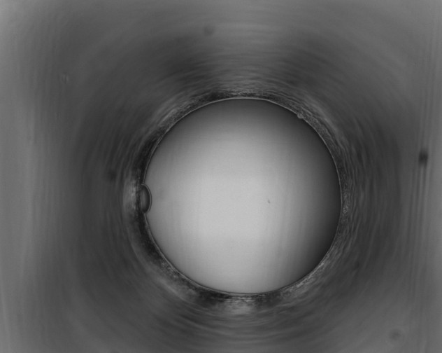 X0000100780124200806191026