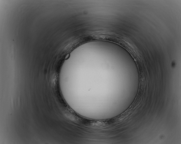 X0000100780125200806191026