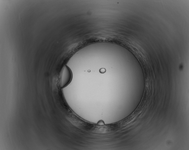 X0000100780127200806191026