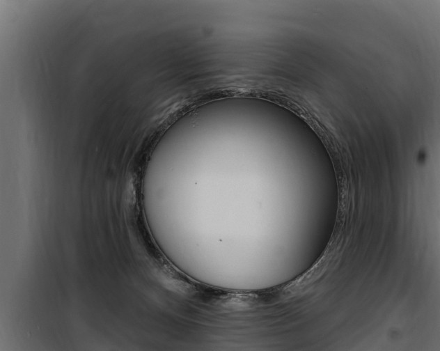 X0000100780128200806191026