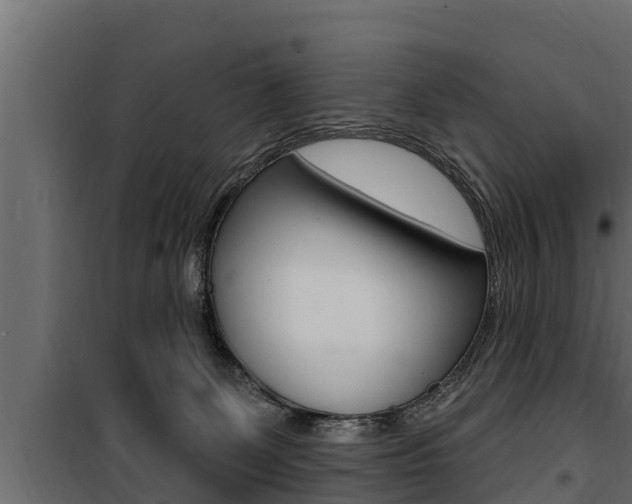 X0000100780131200806191026