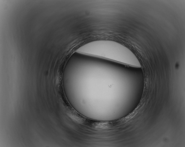 X0000100780132200806191026