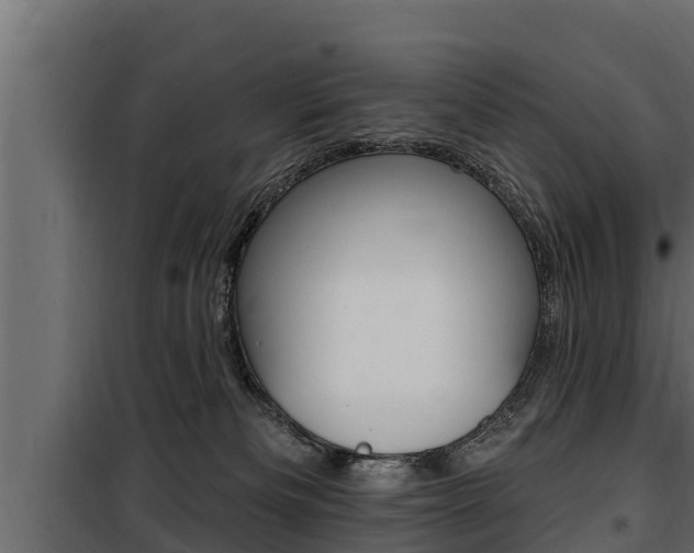 X0000100780133200806191026