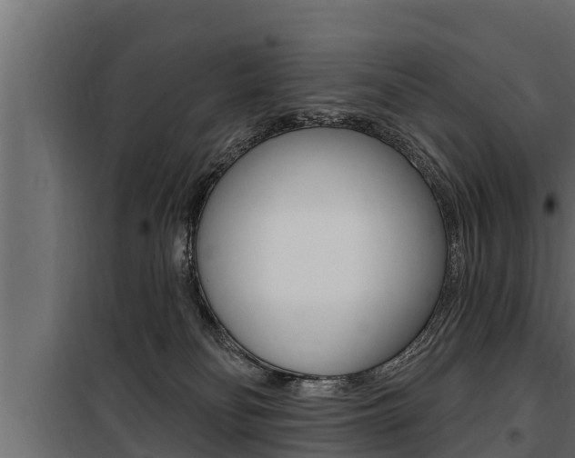 X0000100780134200806191026