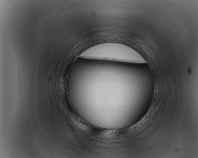 X0000100780136200806191026