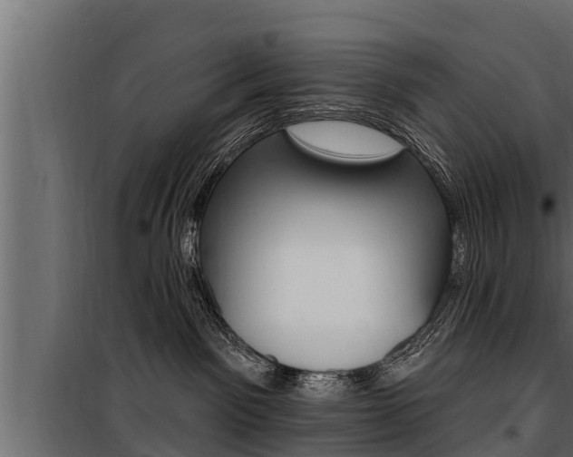 X0000100780141200806191026