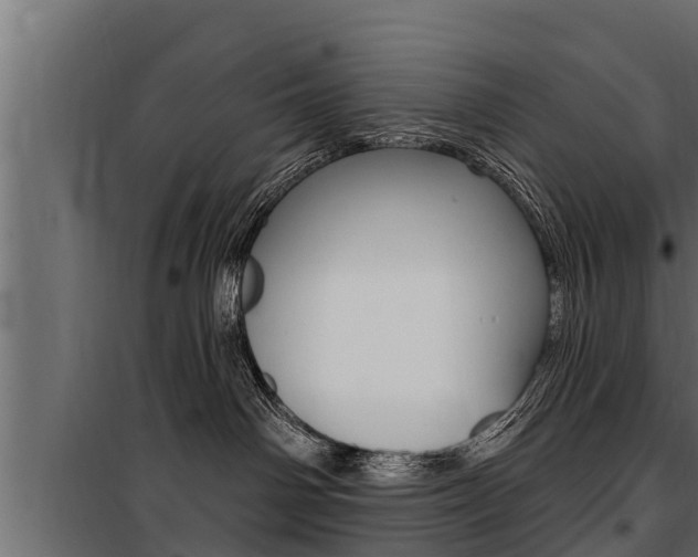 X0000100780142200806191026