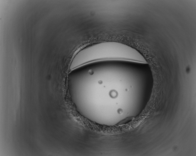 X0000100780144200806191026