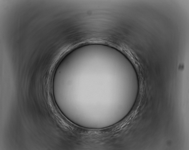 X0000100780145200806191025