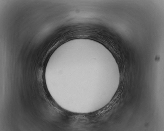 X0000100780146200806191025