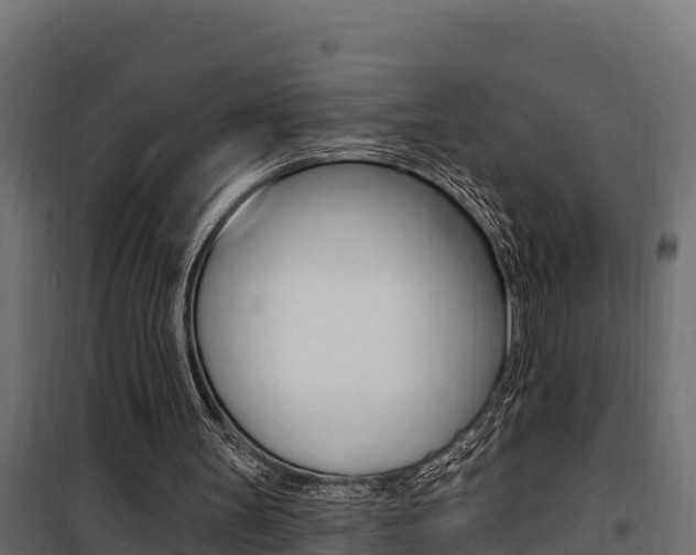 X0000100780147200806191025