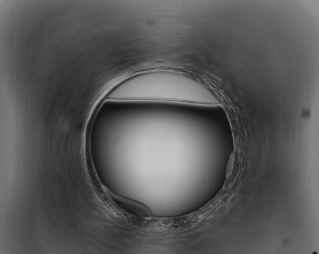 X0000100780148200806191025