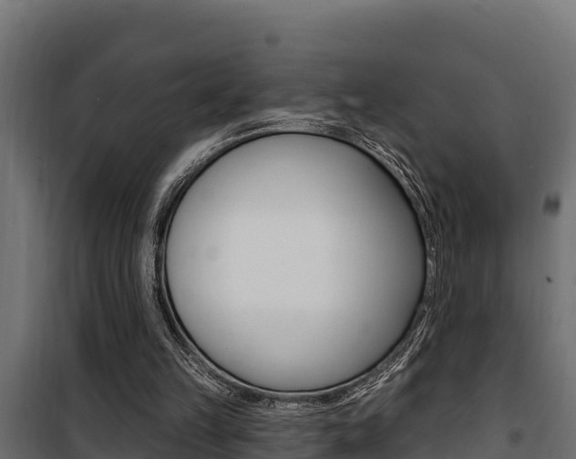 X0000100780149200806191025