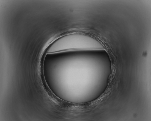 X0000100780150200806191025