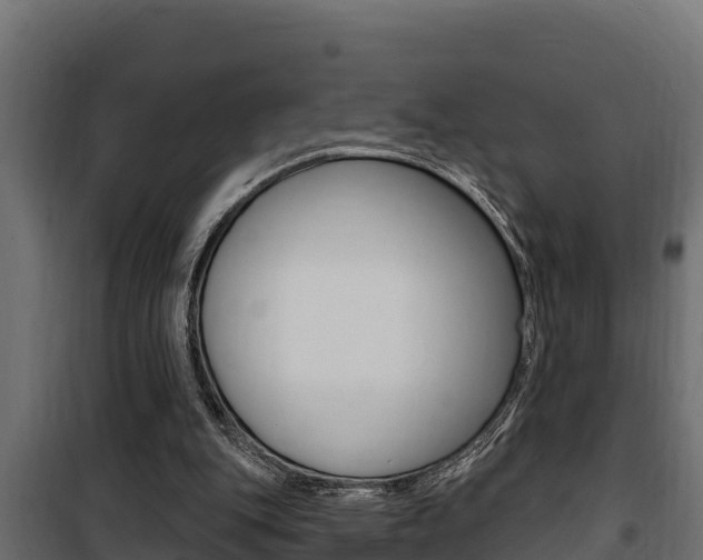 X0000100780151200806191025