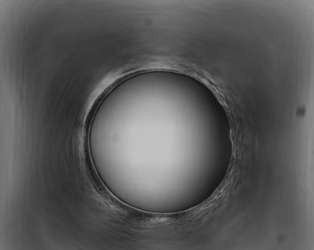 X0000100780152200806191025